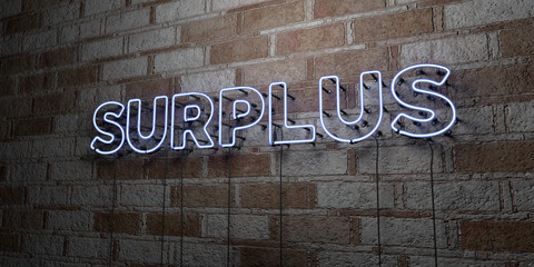 SURPLUS - Glowing Neon Sign on stonework wall - 3D rendered royalty free stock illustration.  Can be used for online banner ads and direct mailers..