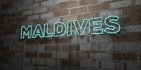 MALDIVES - Glowing Neon Sign on stonework wall - 3D rendered royalty free stock illustration.  Can be used for online banner ads and direct mailers..