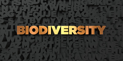 Biodiversity - Gold text on black background - 3D rendered royalty free stock picture. This image can be used for an online website banner ad or a print postcard.