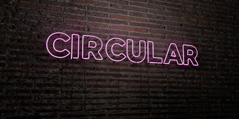 CIRCULAR -Realistic Neon Sign on Brick Wall background - 3D rendered royalty free stock image. Can be used for online banner ads and direct mailers..