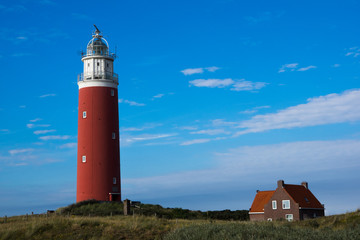 Texel
