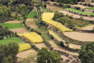 Agriculture in Atlas Mountains. Morocco, Africa