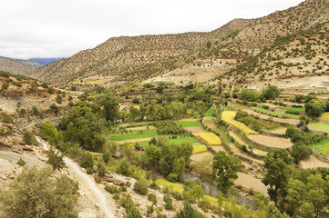 Fototapeta na wymiar Agriculture in Atlas Mountains. Morocco, Africa