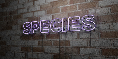 SPECIES - Glowing Neon Sign on stonework wall - 3D rendered royalty free stock illustration.  Can be used for online banner ads and direct mailers..