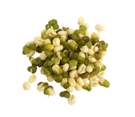 Sprouted green mung beans on white background