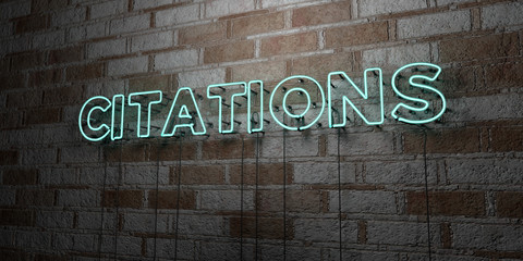 CITATIONS - Glowing Neon Sign on stonework wall - 3D rendered royalty free stock illustration.  Can be used for online banner ads and direct mailers..