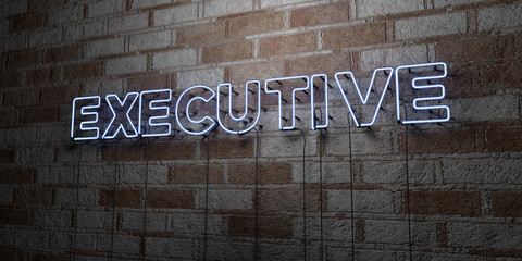 EXECUTIVE - Glowing Neon Sign on stonework wall - 3D rendered royalty free stock illustration.  Can be used for online banner ads and direct mailers..