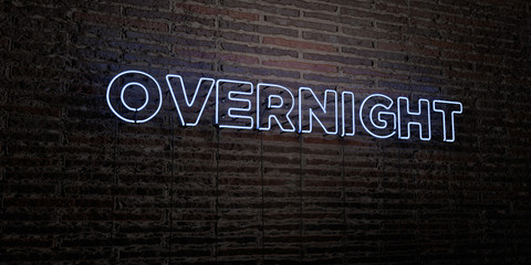 OVERNIGHT -Realistic Neon Sign on Brick Wall background - 3D rendered royalty free stock image. Can be used for online banner ads and direct mailers..