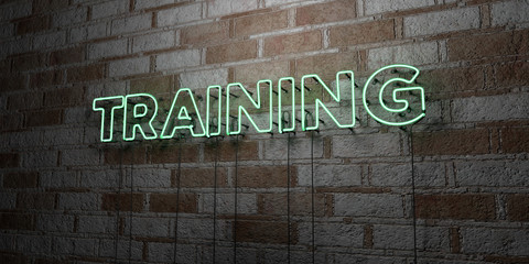 Fototapeta na wymiar TRAINING - Glowing Neon Sign on stonework wall - 3D rendered royalty free stock illustration. Can be used for online banner ads and direct mailers..