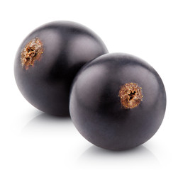 Two black currant berries isolated on white background with clipping path