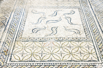 Volubilis - Roman Empire ruins, Morocco, Africa