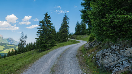 Fototapeta na wymiar Swiss landscape - mountains and forest in Switzerland
