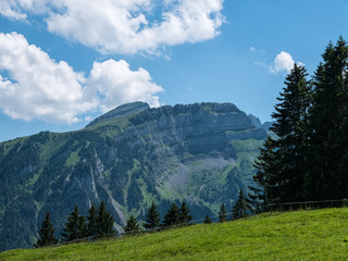Fototapeta na wymiar Swiss landscape - mountains and forest in Switzerland