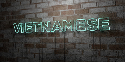 VIETNAMESE - Glowing Neon Sign on stonework wall - 3D rendered royalty free stock illustration.  Can be used for online banner ads and direct mailers..