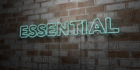 ESSENTIAL - Glowing Neon Sign on stonework wall - 3D rendered royalty free stock illustration.  Can be used for online banner ads and direct mailers..