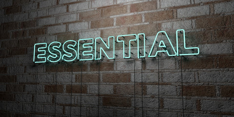Fototapeta premium ESSENTIAL - Glowing Neon Sign on stonework wall - 3D rendered royalty free stock illustration. Can be used for online banner ads and direct mailers..