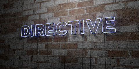 DIRECTIVE - Glowing Neon Sign on stonework wall - 3D rendered royalty free stock illustration.  Can be used for online banner ads and direct mailers..