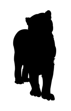 Leopard Baby Silhouette on White Background
