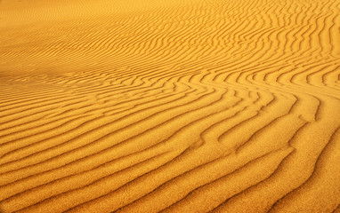 Sand dunes in Sahara Desert, Africa