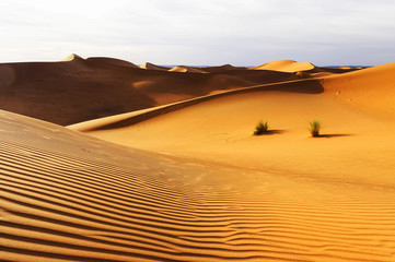 Fototapeta na wymiar Abstract sand pattern in Sahara Desert, Africa