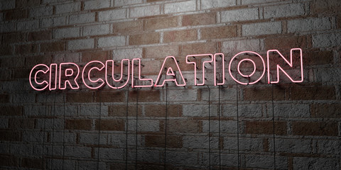 CIRCULATION - Glowing Neon Sign on stonework wall - 3D rendered royalty free stock illustration.  Can be used for online banner ads and direct mailers..