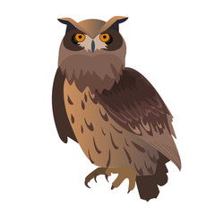 Owl isolated on white