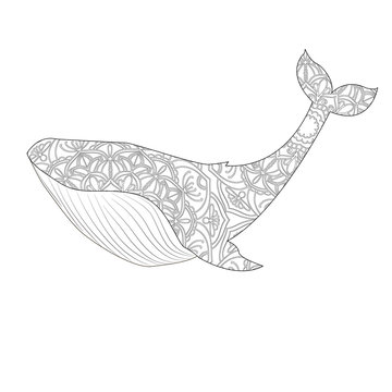 Whale vector illustration. Anti-stress coloring for adult. Black and white lines. Lace pattern
