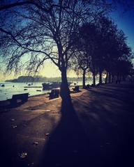 Morning in Zemun 