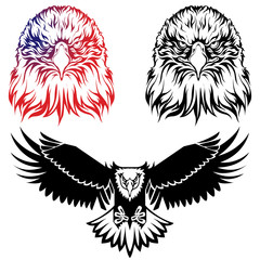 Obraz premium Eagle logo set
