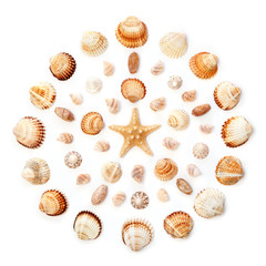 pattern of exotic seashells in the shape of a circle. Isolated o