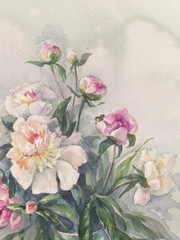 white pink peonies bunch watercolor