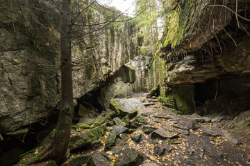 Wolf's Lair,  Adolf Hitler's Bunker in Poland. First Eastern Front military headquarters in World War II. Complex was blown up and abandoned on 1945. Autumn, chaparral grown ruins, trees, leaves.
