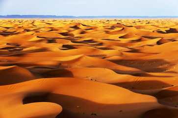 Fototapeta na wymiar Erg Chigaga in Sahara Desert, Africa