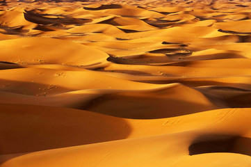 Fototapeta na wymiar Erg Chigaga in Sahara Desert, Africa