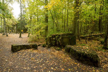 Wolf's Lair,  Adolf Hitler's Bunker in Poland. First Eastern Front military headquarters in World War II. Complex was blown up and abandoned on 1945. Autumn, chaparral grown ruins, trees, leaves.