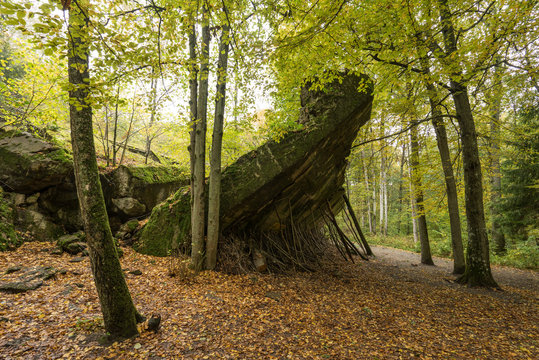 Wolf's Lair Bunker in Poland.