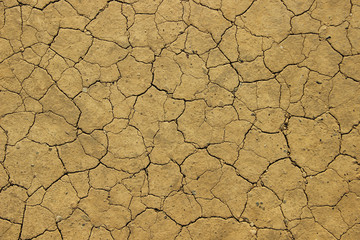 Dried out ground