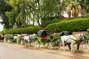 Jemaa el-Fnaa square - Horse drawn carriages for tourists, Morocco, Africa