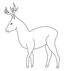 silhouette animal deer