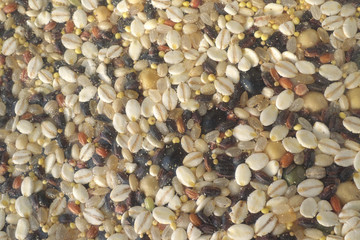 Cereals and beans in plastic bag