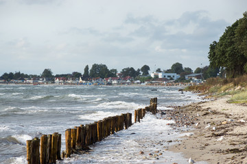 Buhne in der Ostsee im Ostseebad Kellenhusen, Schleswig-Holstein