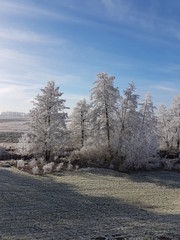 Winterlandschaft