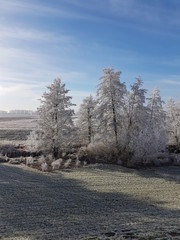 Winterlandschaft