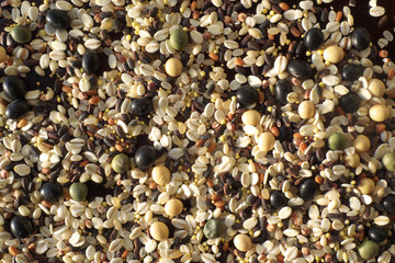 Cereals and beans on wood background