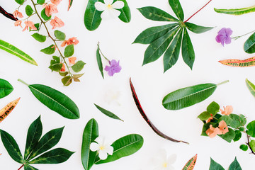 topical exotic colored leaf pattern on white background. flat lay, top view