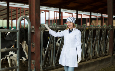 Veterinary technician with dairy cattle
