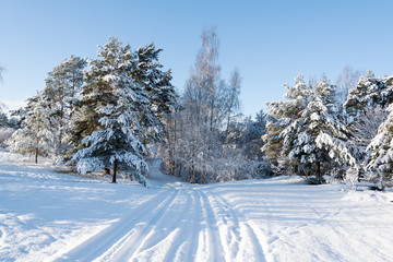 Fresh snow in winter lanscape.