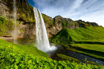 Fototapeta premium Seljalandsfoss, jeden z najbardziej znanych islandzkich wodospadów