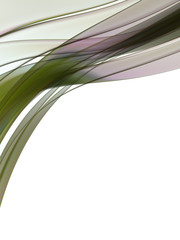 Abstract illustration © neurostructure
