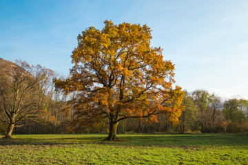 Campagne